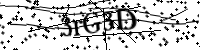 请键入下面的字母