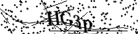 请键入下面的字母